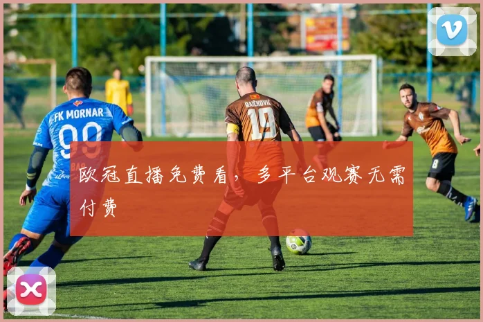 欧冠直播免费看,多平台观赛无需付费