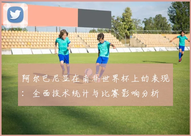 阿尔巴尼亚在南非世界杯上的表现:全面技术统计与比赛影响分析