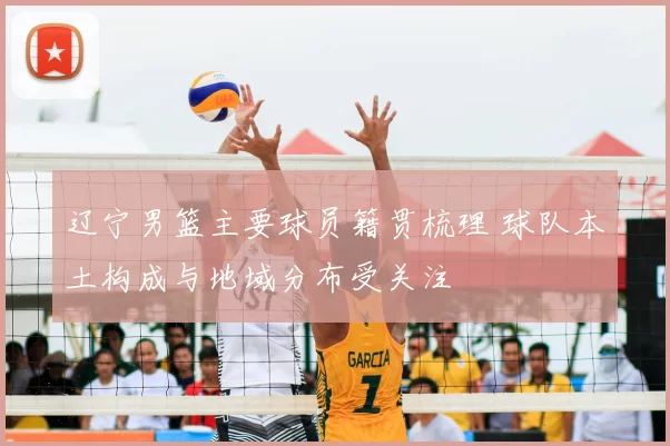 辽宁男篮主要球员籍贯梳理 球队本土构成与地域分布受关注