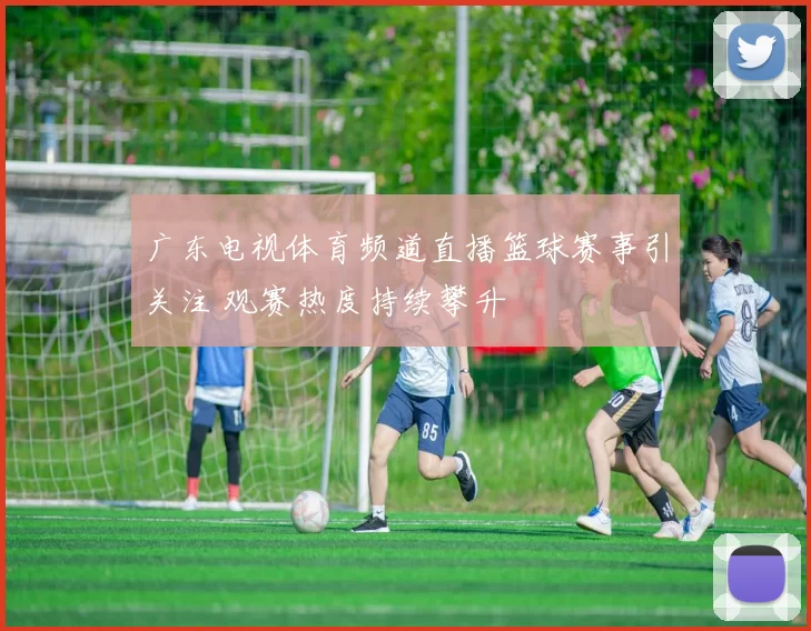 广东电视体育频道直播篮球赛事引关注 观赛热度持续攀升