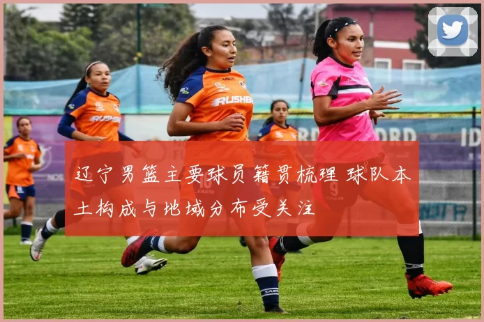 辽宁男篮主要球员籍贯梳理 球队本土构成与地域分布受关注