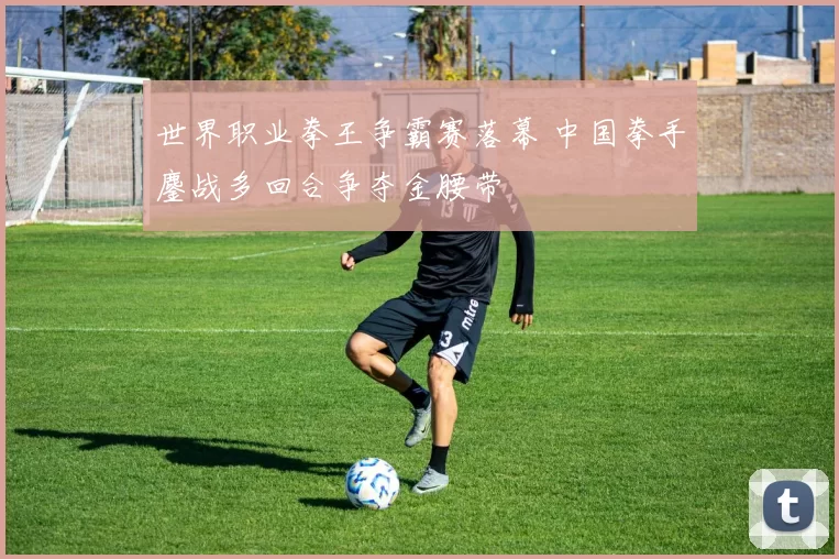 世界职业拳王争霸赛落幕 中国拳手鏖战多回合争夺金腰带